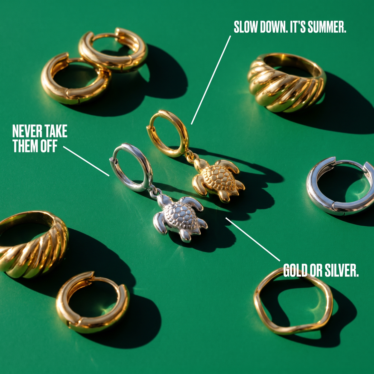 Turtle Hoops