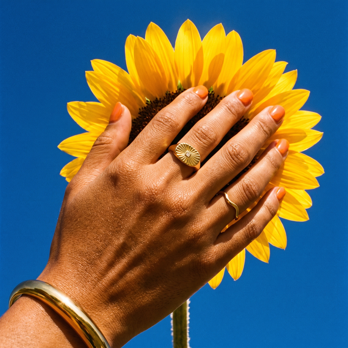 Ray Ring