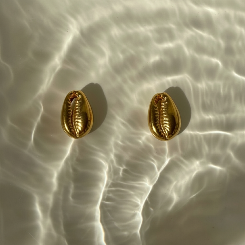 Cowrie Studs