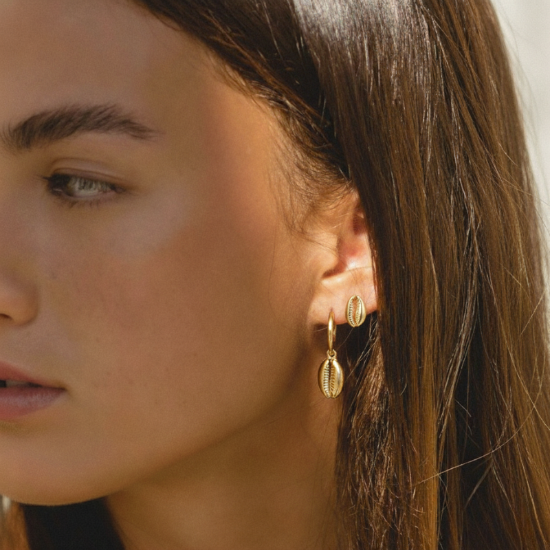 Cowrie Studs